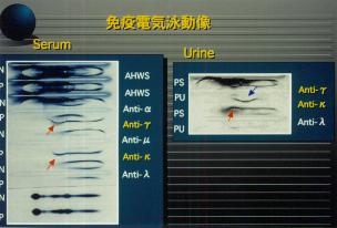 �Ɖu�d�C�j����