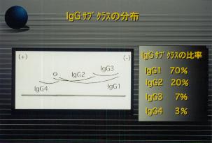 �hg�f�T�u�N���X�̕��z