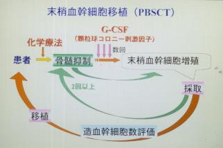 ���������זE�ڐA