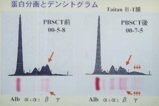 �U�C���O���t