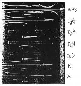 �Ɖu�d�C�j��