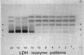 �U�C���O����