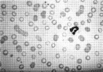 ���t�w��������