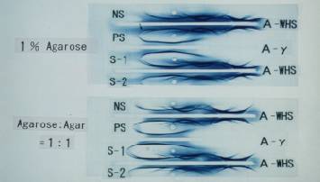 �Ɖu�d�C�j��