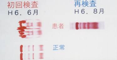 �U�C���O����