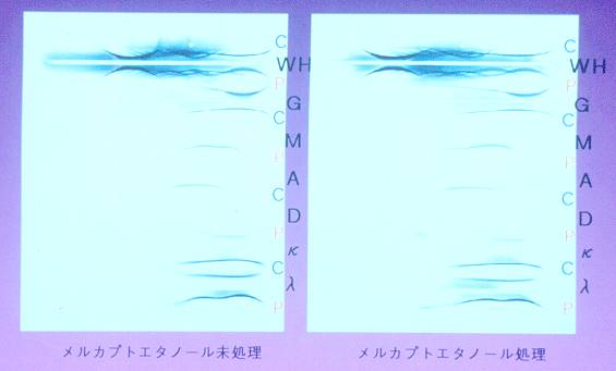 �Ɖu�d�C�j��