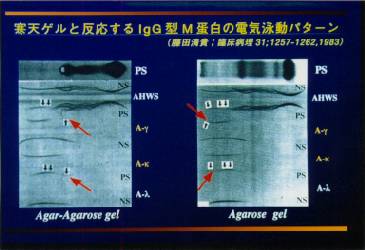 ���V�Q���Ɣ�������l�`��