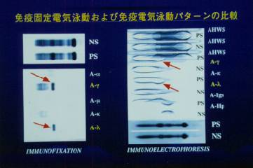 �Ɖu�Œ�@�ƖƉu�d�C�j��