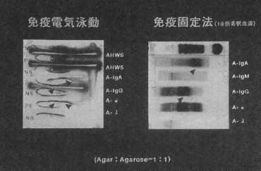 �Ɖu�d�C�j��