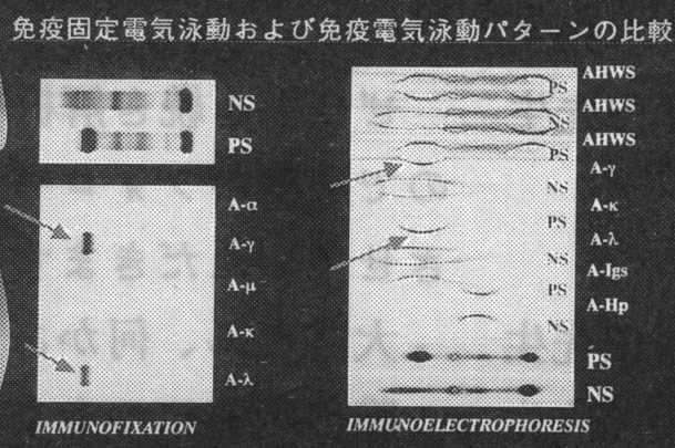 �Ɖu�d�C�j��